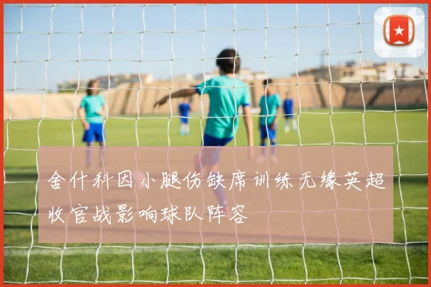 舍什科因小腿伤缺席训练无缘英超收官战影响球队阵容