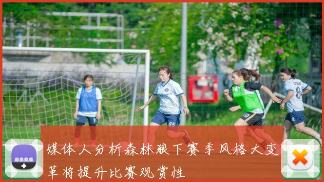 媒体人分析森林狼下赛季风格大变革将提升比赛观赏性